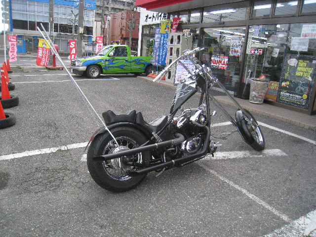 photo3