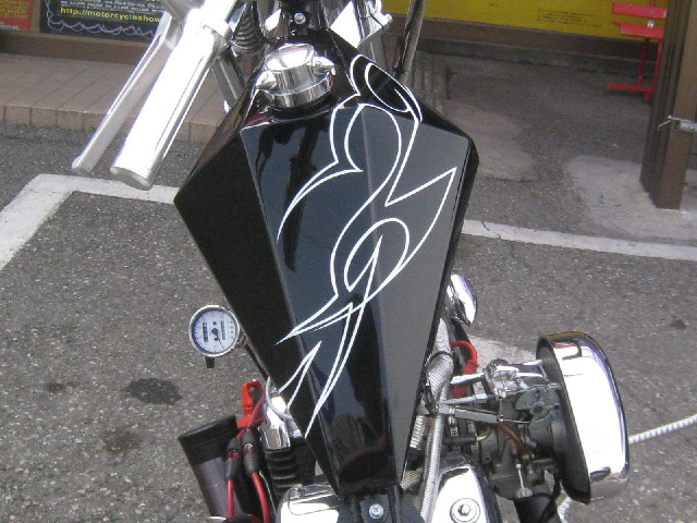 photo4
